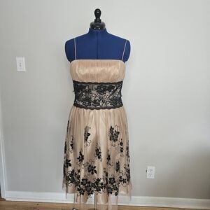 OCOC Tan Satin with Shear Tan Organza and Black Floral Lace Midi Dress Size 12